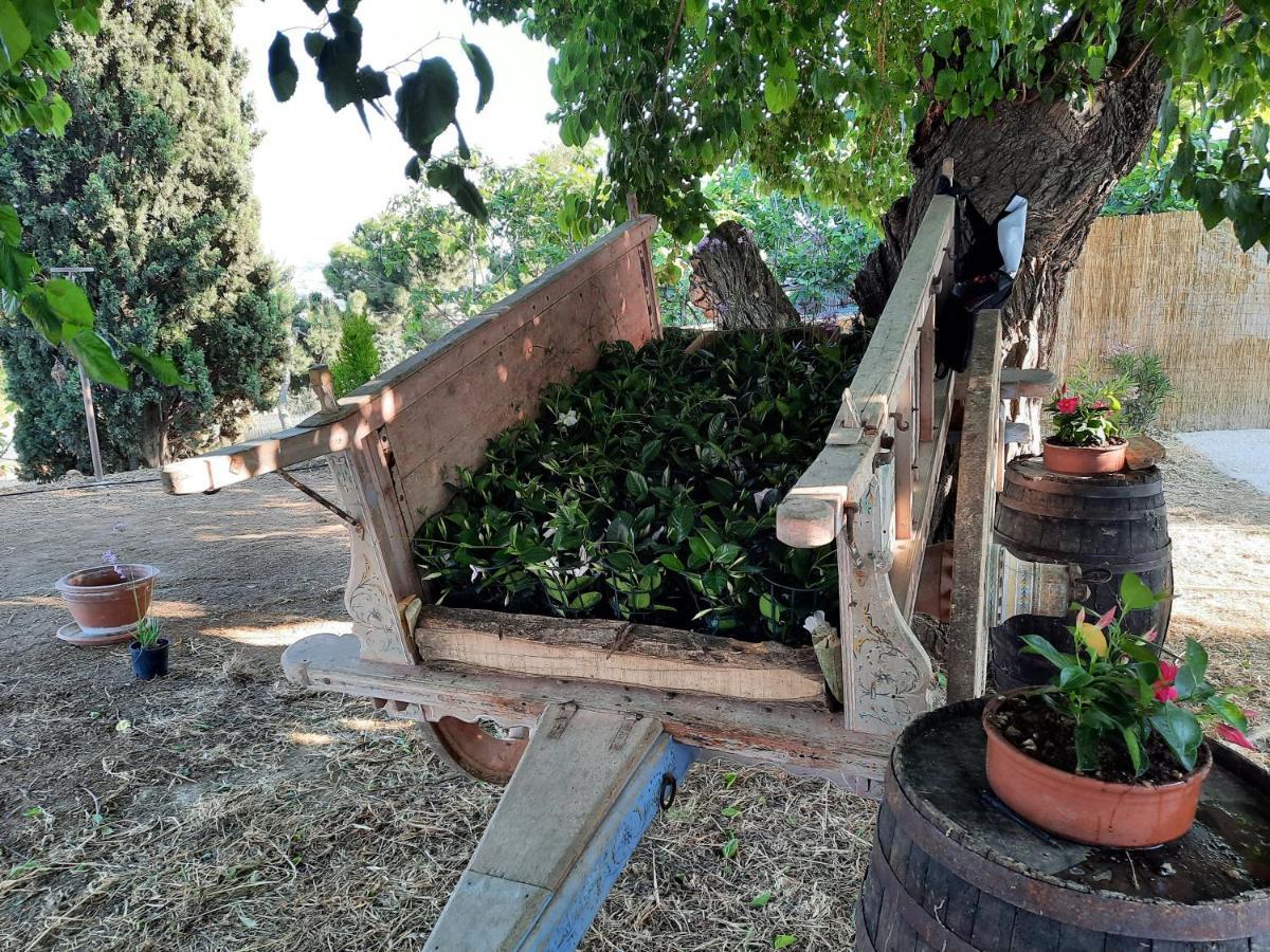 Tenuta Coppa Zuccari Citta Sant'Angelo Eksteriør bilde
