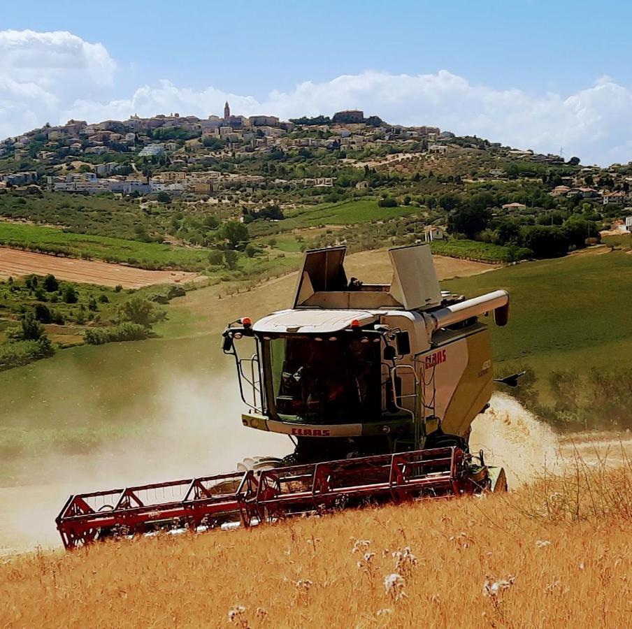 Tenuta Coppa Zuccari Citta Sant'Angelo Eksteriør bilde